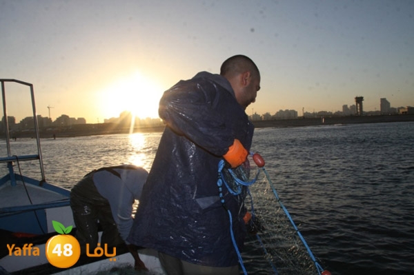 sayyadnewyaffa3 (56).JPG